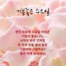 King 과 Mark 6의 대결.. 이미지