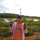 박영호농장 이미지