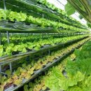 수경목장 이미지