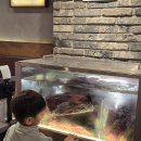 화우로 | 오목교 소고기 맛집 5성급 호텔 셰프의 손맛 화우로 후기