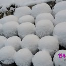 예쁜눈아