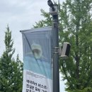 우리현대의원 | 국립현대미술관 데미안 허스트 전시 예매 및 주말방문 후기