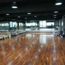 아바다 카포에라 이미지