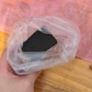 팜팜 | 플라워팜팜 라넌큘러스 수확 체험후기