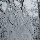 장곡초교 이미지