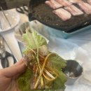 아이슈크림할인점