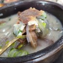 속초코다리냉면 이미지