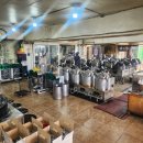 장수생즙건강원 이미지