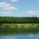 태화강펜션 이미지