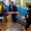 해리초등학교 | 1박2일 시즌4:나이는 떡국 숫자에 불과하다 161회 줄거리(1월 29일 방송) 고창 테마파크 동물농장 체험...