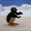 비토애풀빌라펜션 이미지