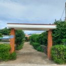 표선리-30 이미지