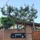 순천 숙소추천 순천만습지 근처 황토한옥샘터 조용하고 아늑한 쉬어가기좋은 숙소 순천만맛집 대대선창집