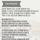 더무드헤어 이미지