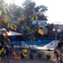 초지리 당구장 이미지