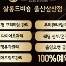 살롱 드 비숑 이미지