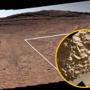 CW-1200-01 이미지