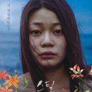 스틸플라워 이미지