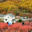 천사농원