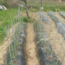 화영농장 이미지