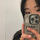 호진상회 이미지