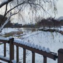 지리산쌍계한의원 이미지