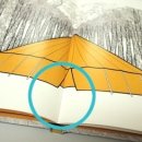 선우 소프트 이미지