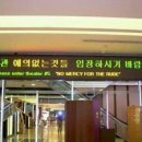 시르네