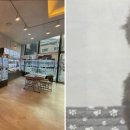 도그마루 강아지 고양이 부산점 이미지