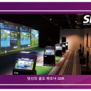 빅스크린 골프 티스토리