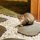 제주드루앙김녕1236 이미지