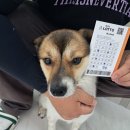 놀러오개(도화점) 이미지