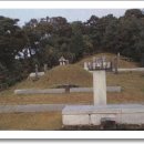 (유)홍주특수 | 족보와 뿌리 그리고 역사