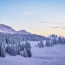 유탕축산 이미지
