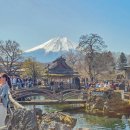 이렌터카 | 오시노핫카이 가는 법 | 후지산 대중교통·투어·렌터카 주차 후기