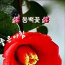 구정 이미지