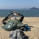 (주)체리블루 이미지