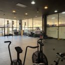 크로스핏 토르 이미지