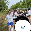 나인핏 피티 이미지