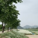 명보장여관 네이버블로그