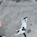 미영(아) 이미지