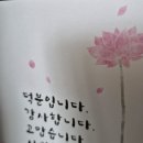 부처님오신날 봉축법요식 대회향 법회날 이미지