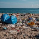 플라스틱가드너 이미지