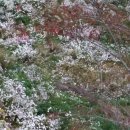 (주)대가야