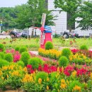 오성농장 | 경기도 아이와 가볼만한곳 평택농업생태원 놀이터 서울근교 당일치기