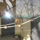 진양호동물원 Daum카페