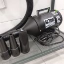 스테이 감동 이미지