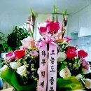 석관초등학교 이미지