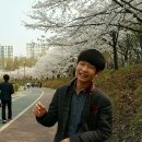 서현중앙길 이미지