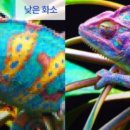 화소가